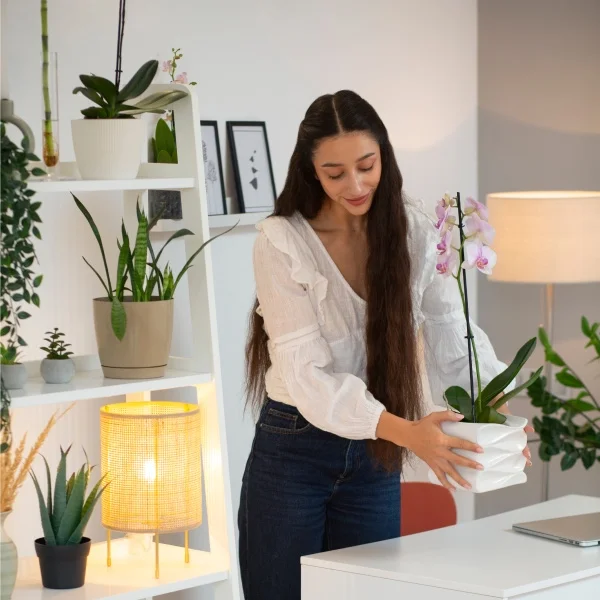 Une femme tient une plante en pot devant son bureau, créant ainsi un mélange harmonieux de nature et d'espace de travail.