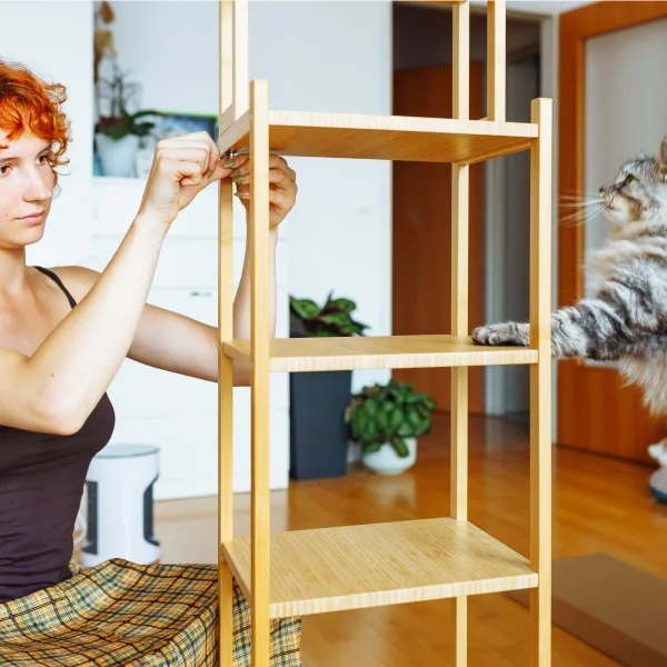 Une femme joue avec un chat sur une étagère, créant un moment joyeux et complice entre eux.