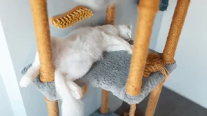 A white cat peacefully sleeping on a multi-level cat tree, surrounded by soft fabric and plush surfaces.